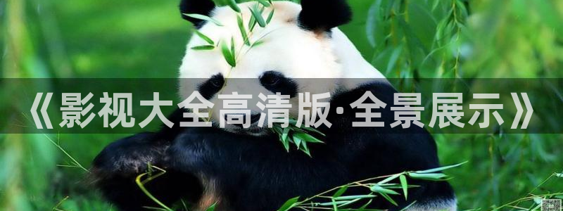 神马电影网秋霞影院