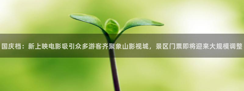 秋霞电影手机伦理版